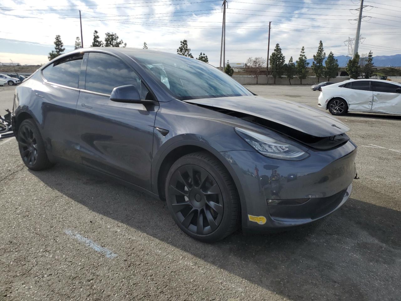 2022 TESLA MODEL Y  VIN:7SAYGDEEXNF368112