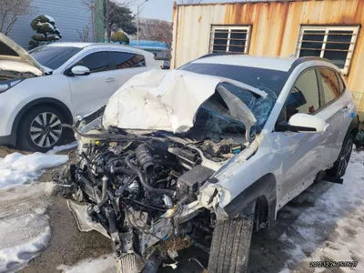 2019 Hyundai Kona KMHK4815GKU401737 VIN:KMHK4815GKU401737