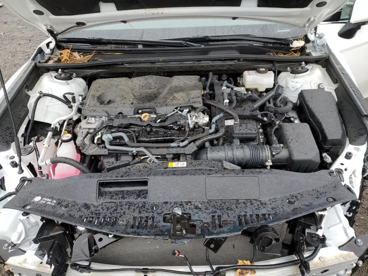 2024 TOYOTA CAMRY SE NIGHT SHADE VIN:4T1G31AK5RU063947