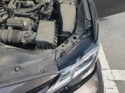 2019 Toyota Camry JTNB21HK6K3036528 VIN:JTNB21HK6K3036528