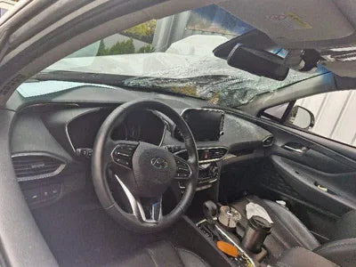 2018 Hyundai Santa FE KMHS381BBKU100140 VIN:KMHS381BBKU100140
