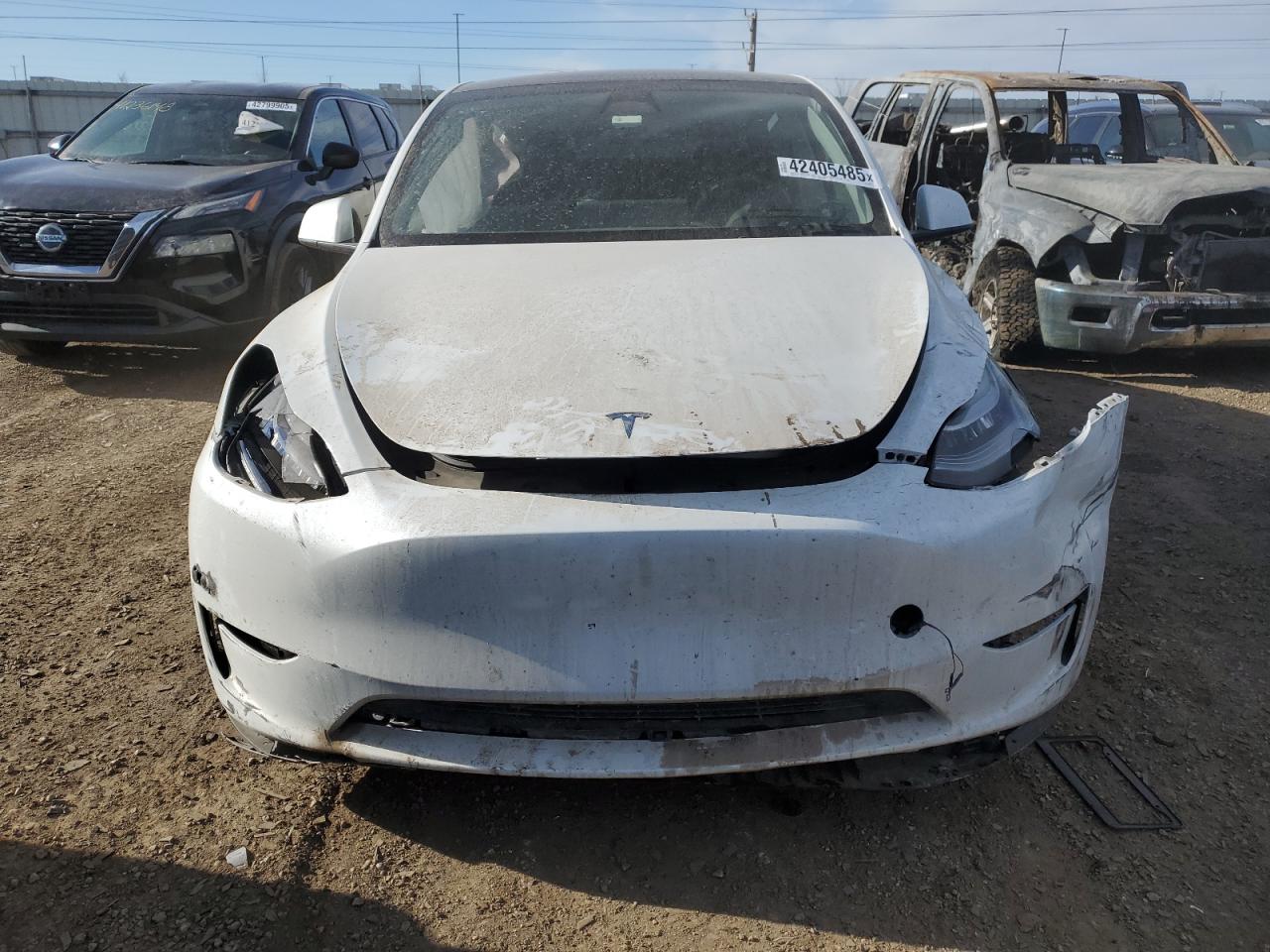 2023 TESLA MODEL Y  VIN:7SAYGDEE9PA028773