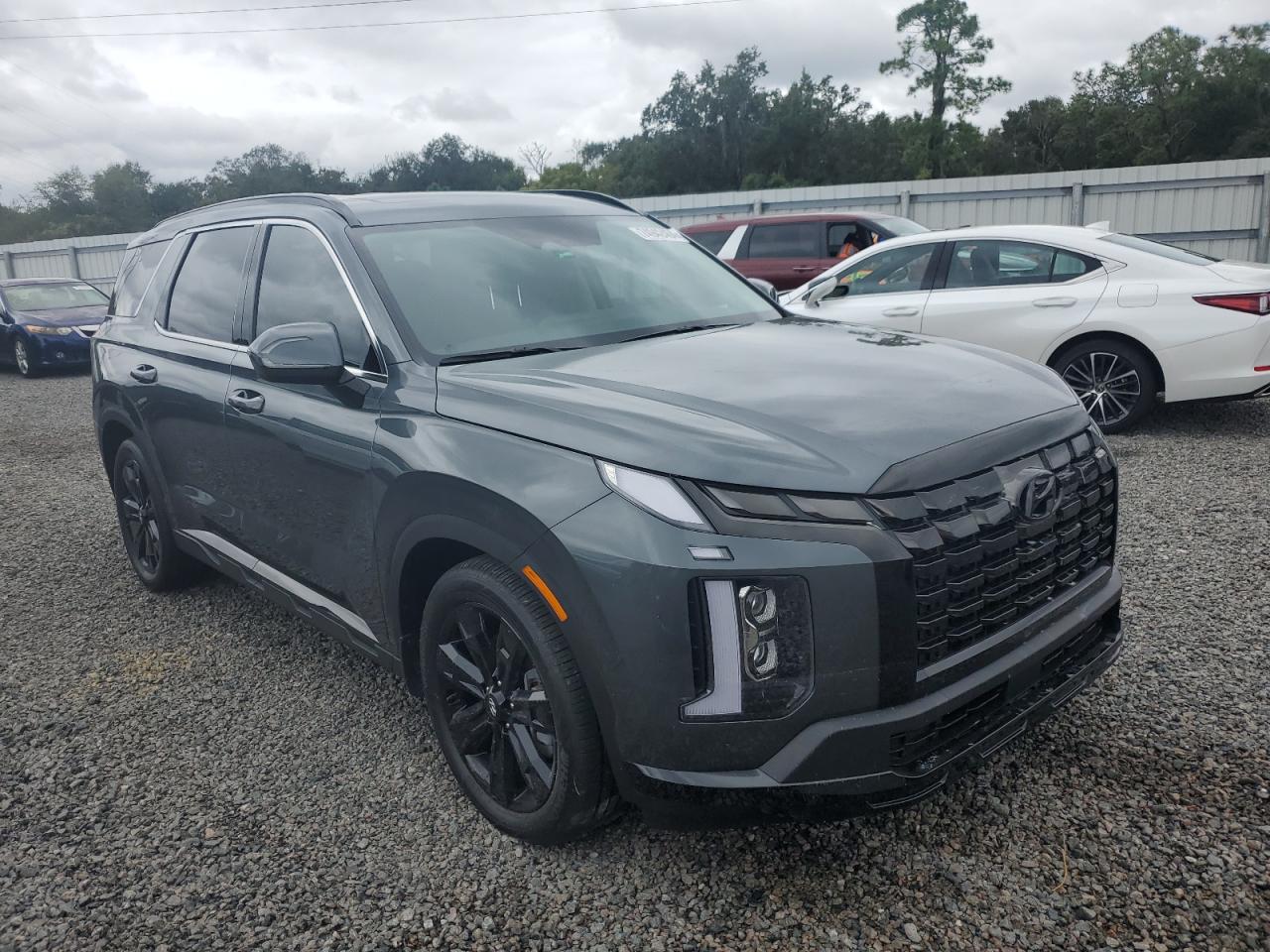 2024 HYUNDAI PALISADE XRT VIN:KM8R3DGE1RU686056