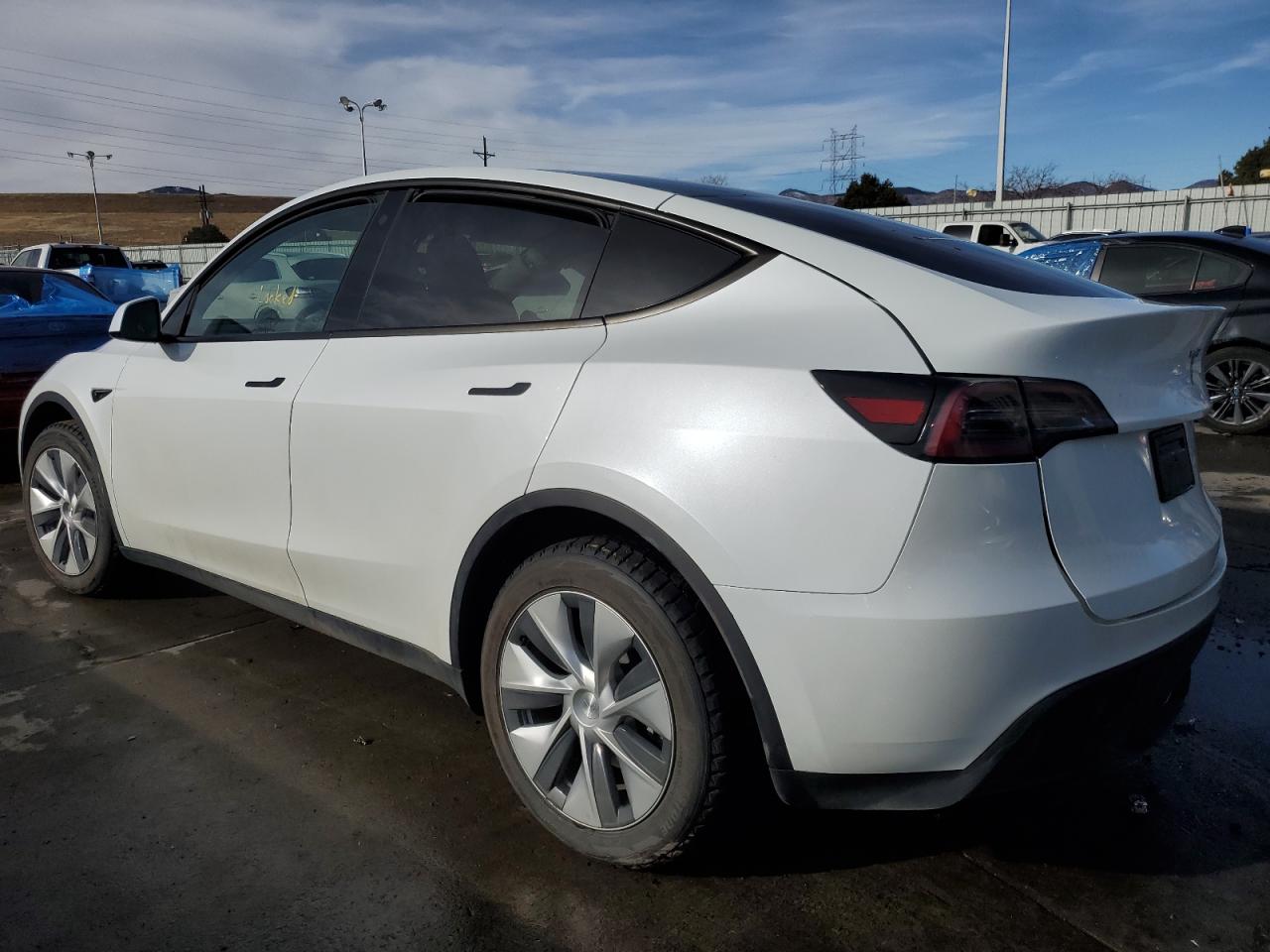 2023 TESLA MODEL Y  VIN:7SAYGDEEXPA080431