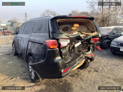 2018 Kia Carnival KNAME81ABKS466391 VIN:KNAME81ABKS466391