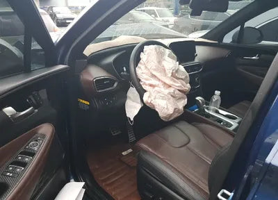 2019 Hyundai Santa FE KMHS581BBKU079646 VIN:KMHS581BBKU079646