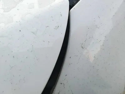 2019 Mercedes-Benz E 220 WDD1J1EB6KF073347 VIN:WDD1J1EB6KF073347