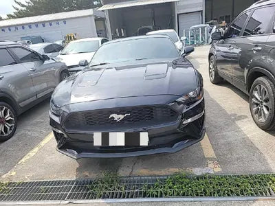 2019 Ford Mustang 571KM1FA6P8TH5K51 VIN:571KM1FA6P8TH5K51