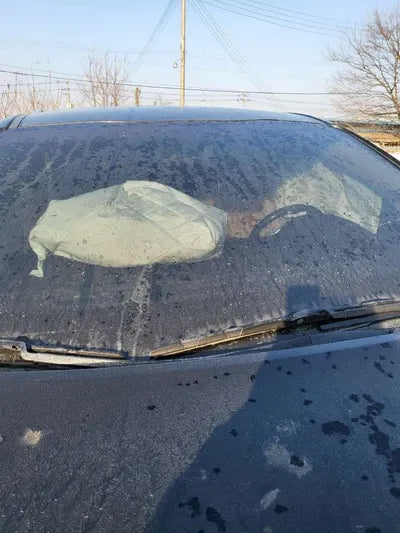 2019 Kia Carnival KNAMC81ABKS487296 VIN:KNAMC81ABKS487296