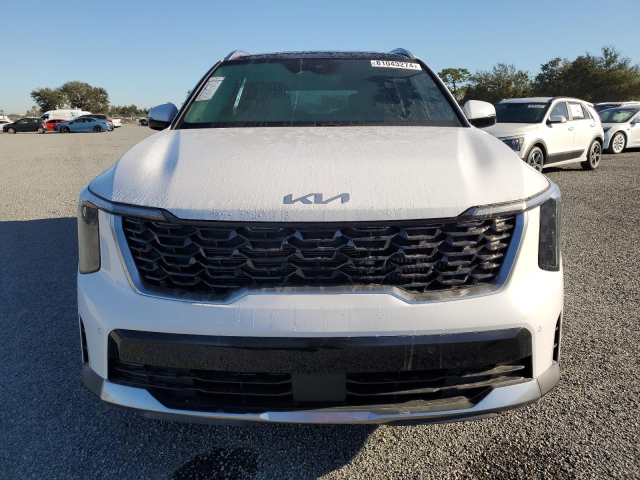 2024 KIA SORENTO EX VIN:5XYRH4JF3RG308331