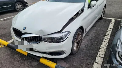 2019 BMW 530 794KMWBAJD9101KWW VIN:794KMWBAJD9101KWW