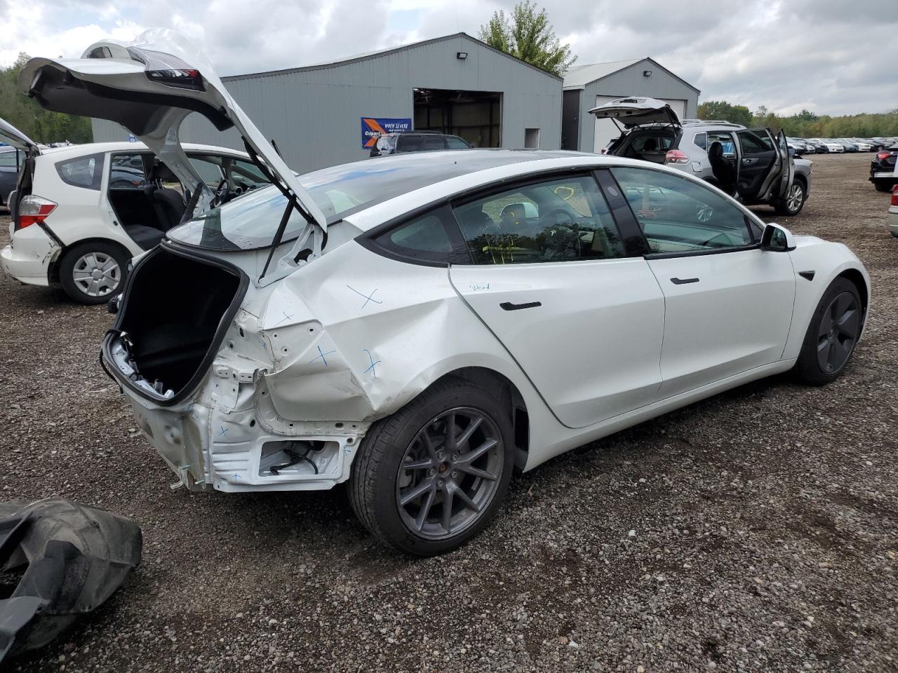 2023 TESLA MODEL 3  VIN:5YJ3E1EA4PF482554