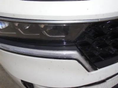 2021 Kia Sorento KNARL81BGMA079110 VIN:KNARL81BGMA079110