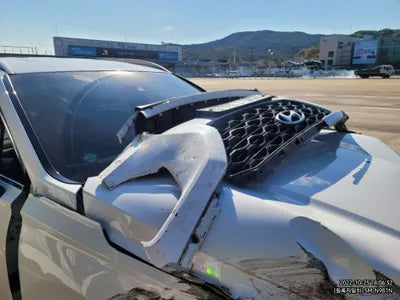 2019 Hyundai Santa FE KMHS281BBKU058365 VIN:KMHS281BBKU058365