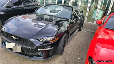 2020 Ford Mustang 1FA6P8TH9L5157402 VIN:1FA6P8TH9L5157402