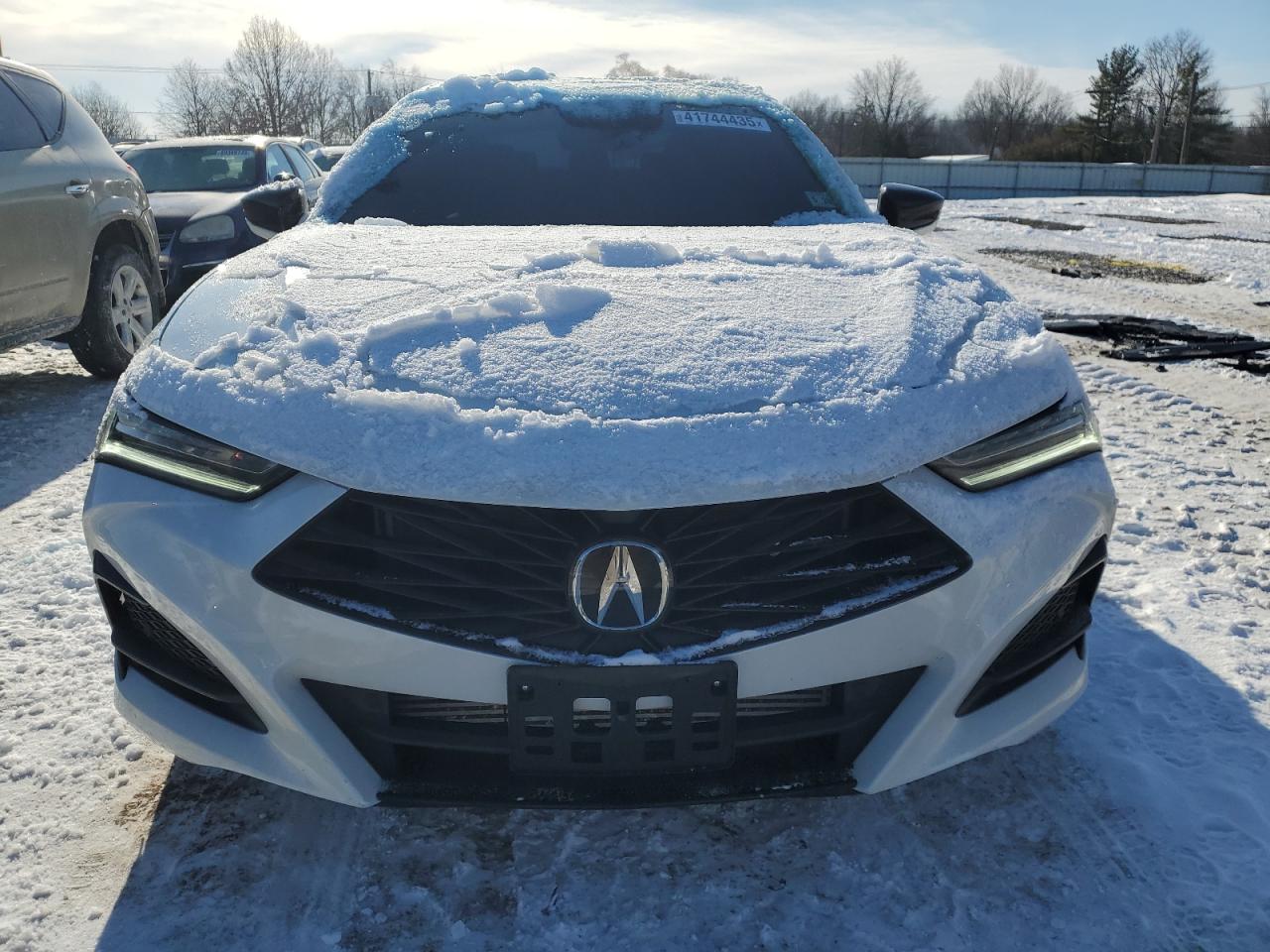 2024 ACURA TLX A-SPEC VIN:1HD1KTP19NB650597