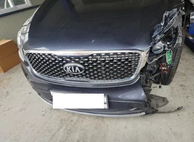 2015 Kia Sorento KNAPS81ABGA128194 VIN:KNAPS81ABGA128194