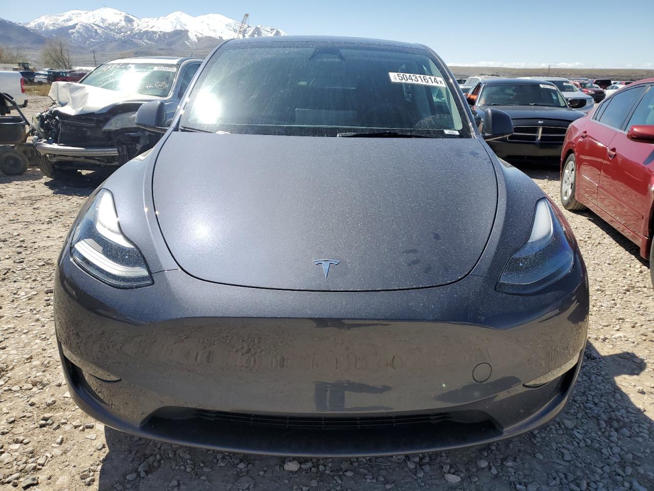 2023 TESLA MODEL Y  VIN:7SAYGDEE8PA174601