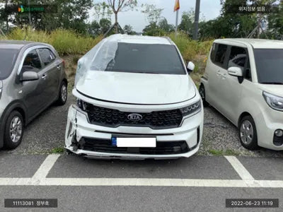 2020 Kia Sorento KNARH81GBMA020392 VIN:KNARH81GBMA020392