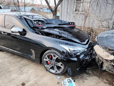 2019 Kia Stinger KNAE351ABKS062346 VIN:KNAE351ABKS062346