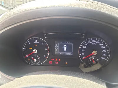 2015 Kia Sorento KNAPS81ABFA065556 VIN:KNAPS81ABFA065556