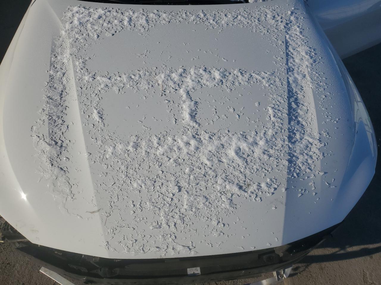 2023 BMW 430XI GRAN COUPE VIN:WBA73AV05PFN90009