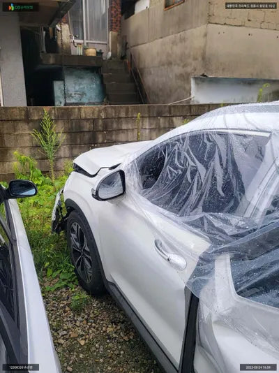 2019 Hyundai Santa FE KMHS381BBKU171201 VIN:KMHS381BBKU171201