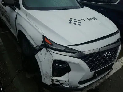 2019 Hyundai Santa FE KMHS381CDKU003486 VIN:KMHS381CDKU003486