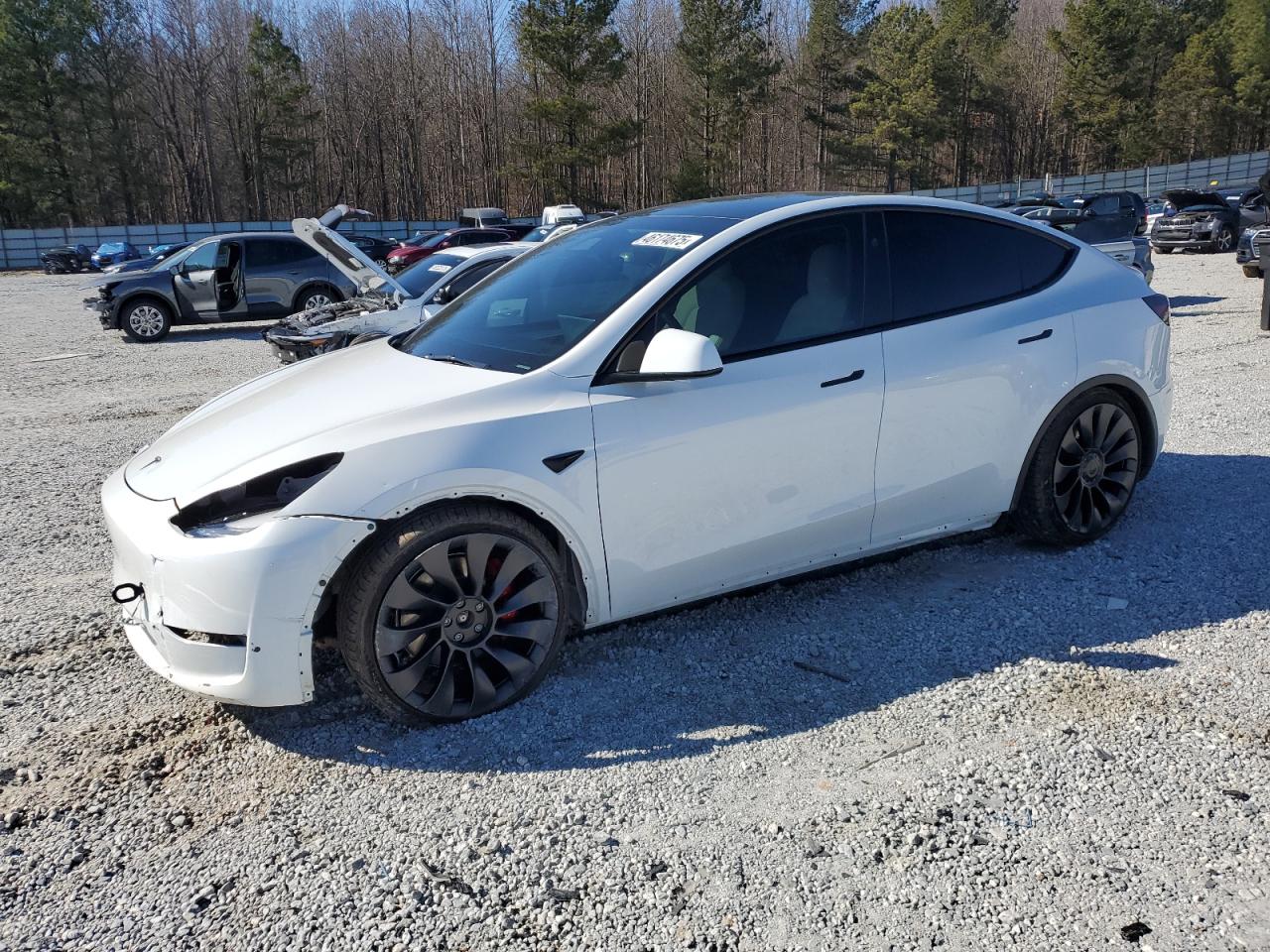 2023 TESLA MODEL Y  VIN:7SAYGDEFXPF935544