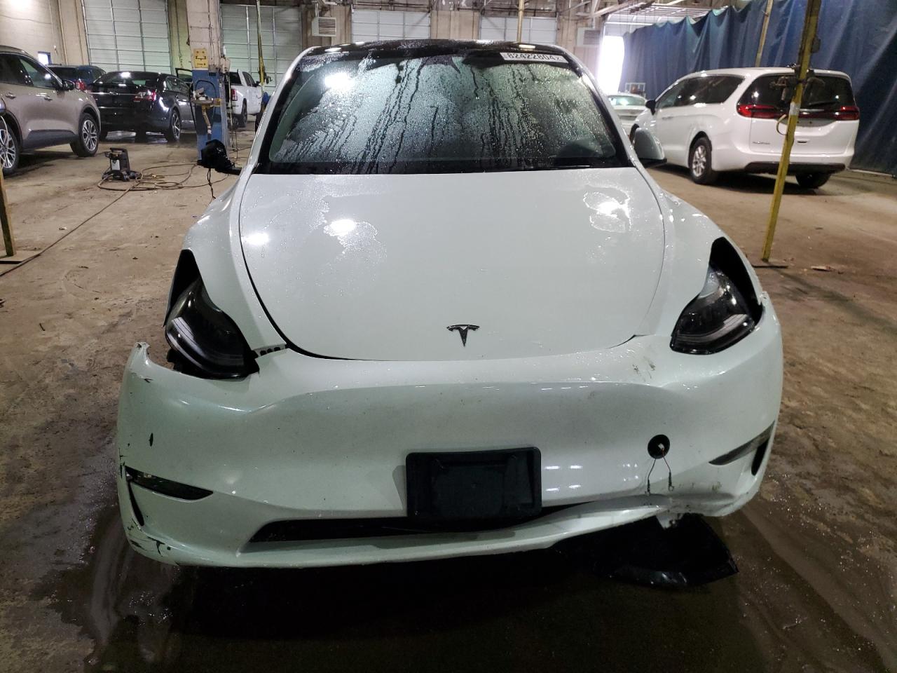 2023 TESLA MODEL Y  VIN:7SAYGDEE5PF785124