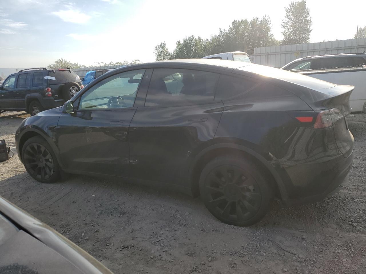 2023 TESLA MODEL Y  VIN:7SAYGDEE3PF703908