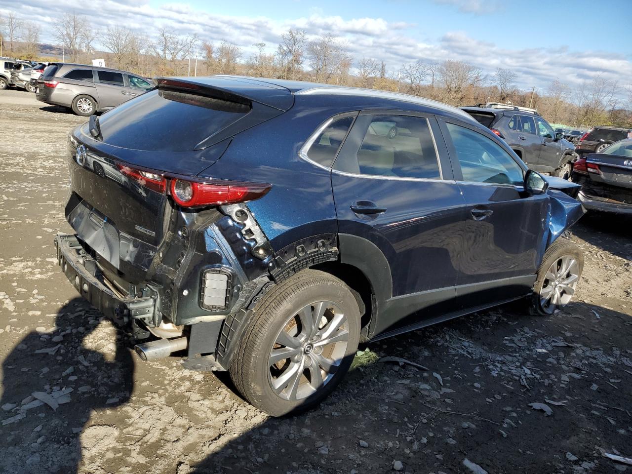 2024 MAZDA CX-30 PREFERRED VIN:3MVDMBCM7RM614052