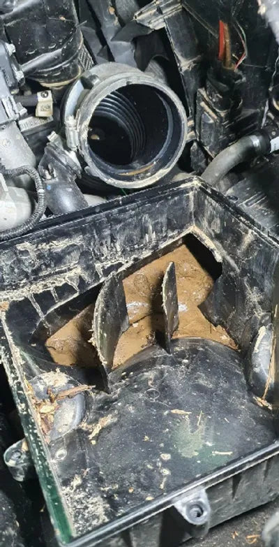 2021 BMW 530 WBAJU8101M9E86180 VIN:WBAJU8101M9E86180