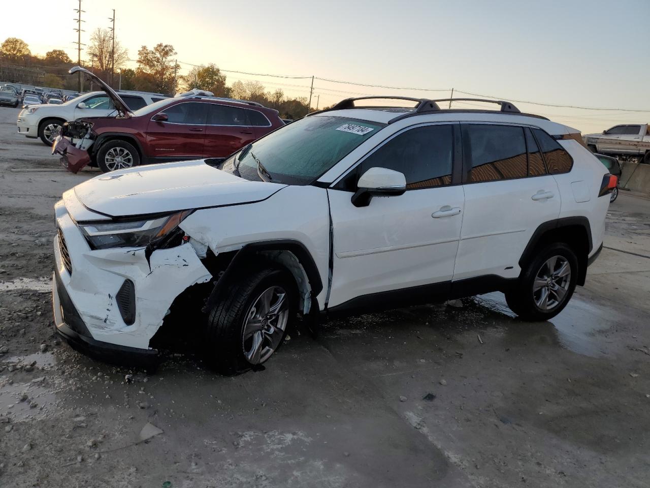 2024 TOYOTA RAV4 XLE VIN:4T3RWRFV3RU131302