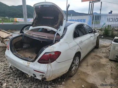 2019 Mercedes-Benz E 300 377KMWDDZF4KB2KA6 VIN:377KMWDDZF4KB2KA6