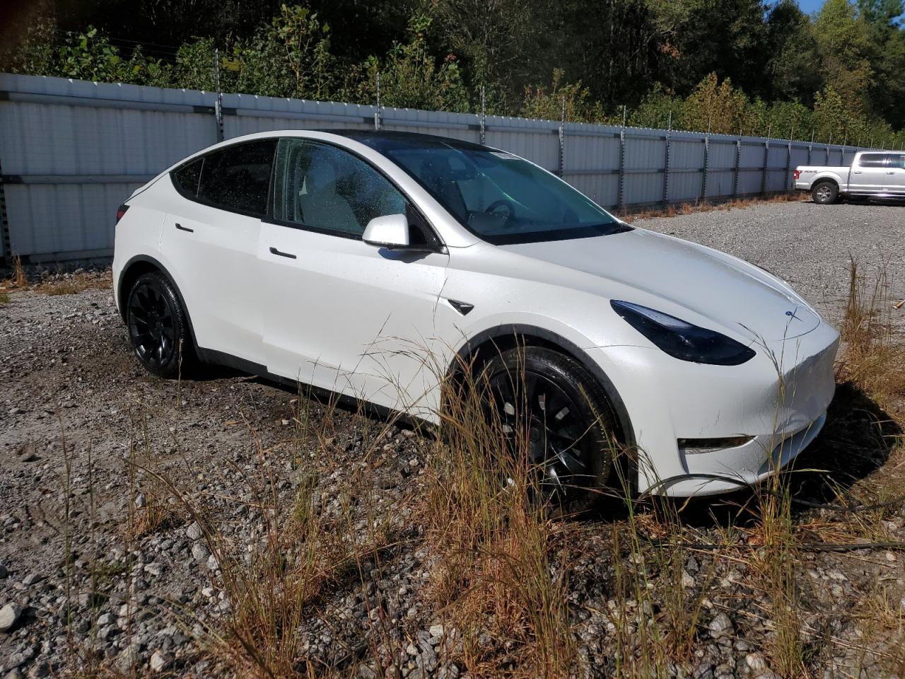 2024 TESLA MODEL Y  VIN:7SAYGDEE7RF993704