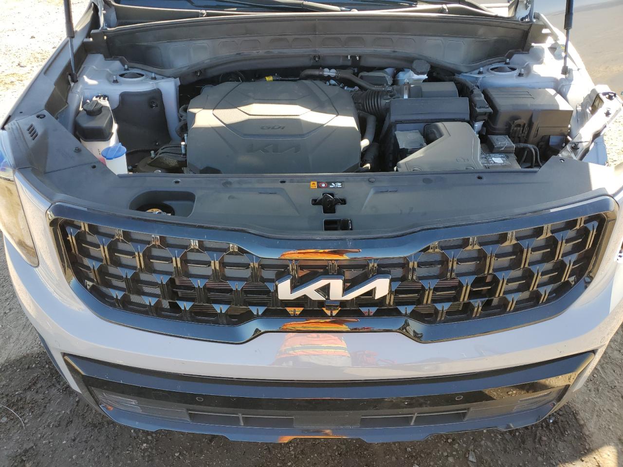 2024 KIA TELLURIDE SX VIN:5XYP5DGC5RG530821