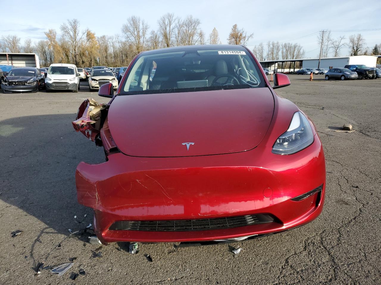 2024 TESLA MODEL Y  VIN:7SAYGDED0RF201867
