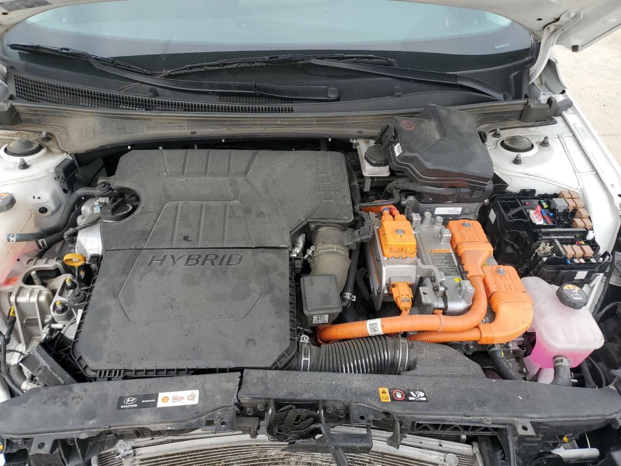 2023 HYUNDAI ELANTRA BLUE VIN:KMHLM4AJ2PU084529