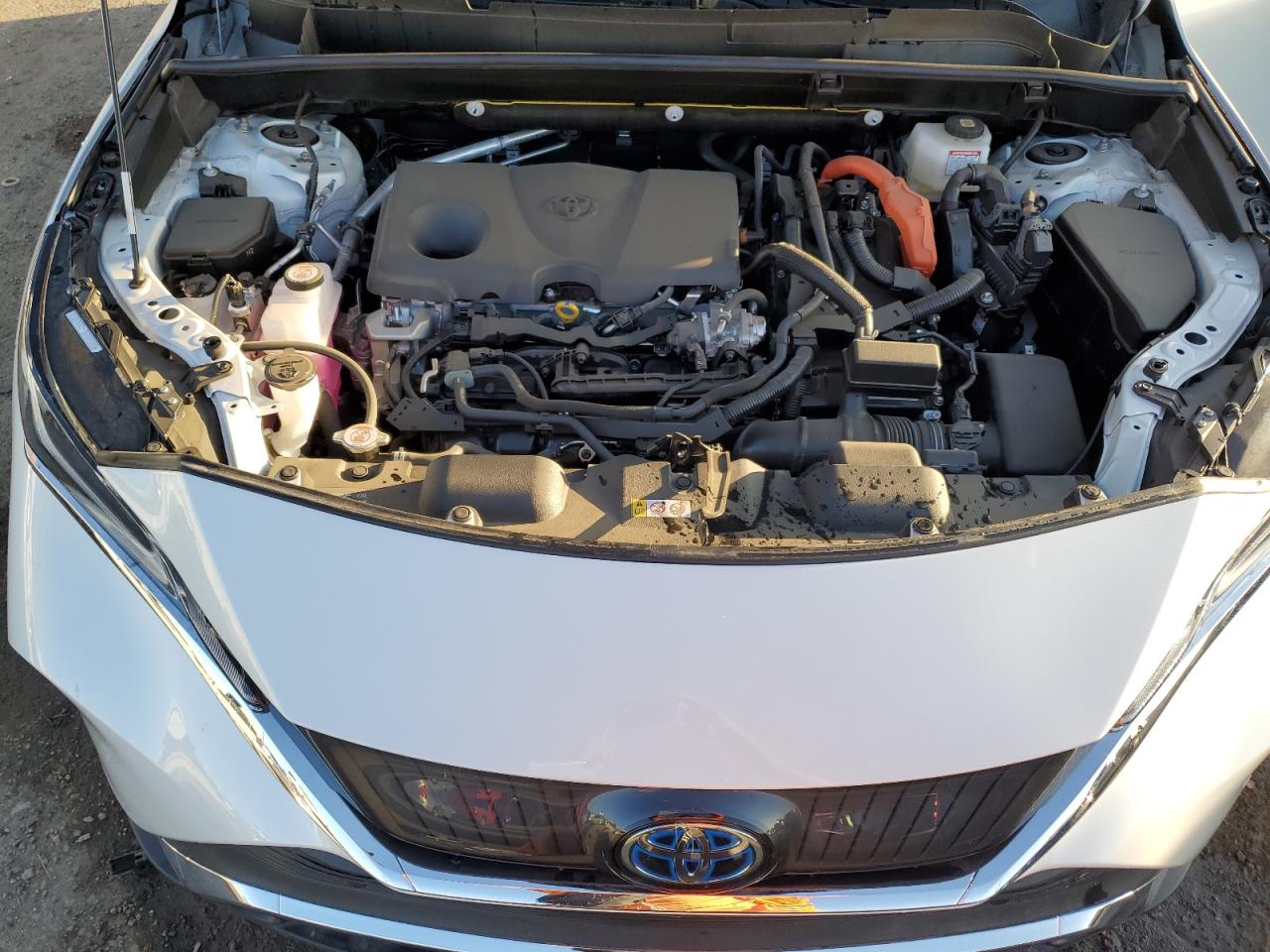 2024 TOYOTA VENZA LE VIN:JTEAAAAHXRJ183602