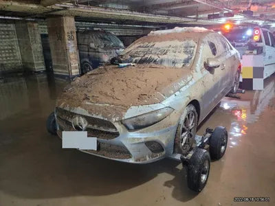 2020 Mercedes-Benz A 220 W1K3G4EBXLJ229607 VIN:W1K3G4EBXLJ229607