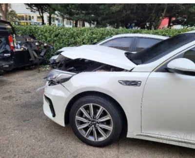 2019 Kia K5 KNAGT416BLA378556 VIN:KNAGT416BLA378556