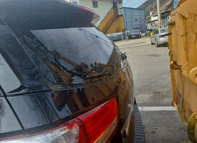 2016 Kia Carnival KNAMC81ABGS126388 VIN:KNAMC81ABGS126388
