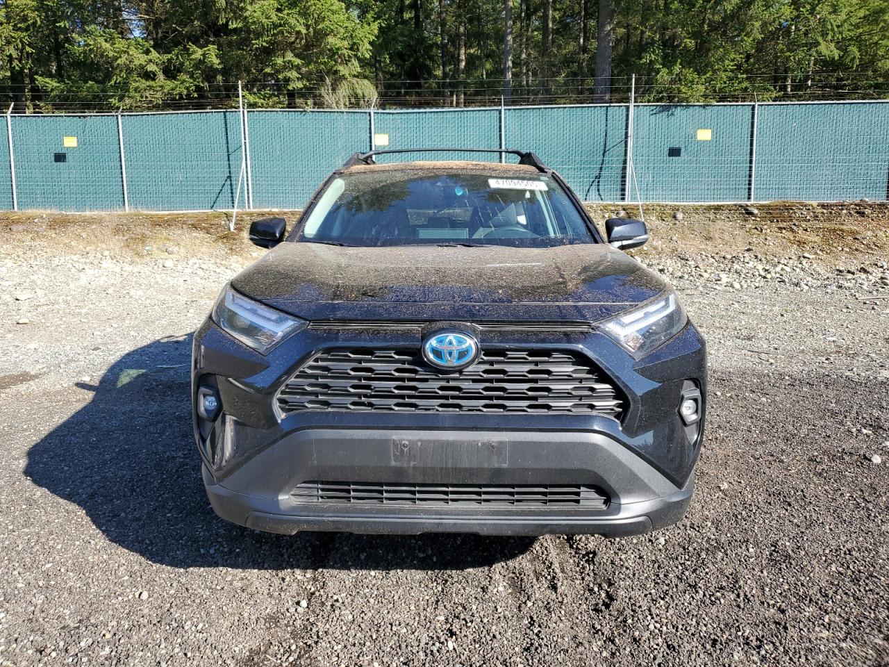 2024 TOYOTA RAV4 WOODLAND EDITION VIN:2T3UWRFVXRW204496