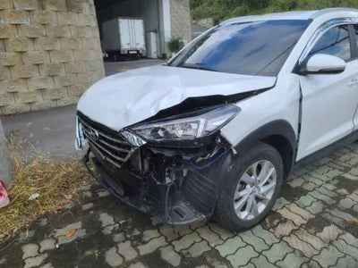 2020 Hyundai Tucson KMHJ3817GLU205881 VIN:KMHJ3817GLU205881