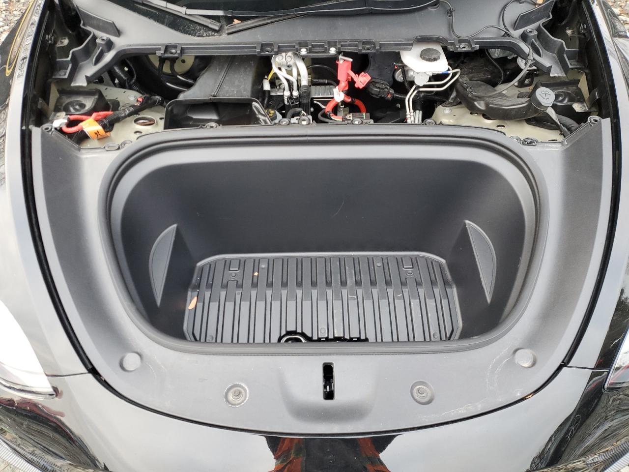 2023 TESLA MODEL Y  VIN:7SAYGDEF6PF943267
