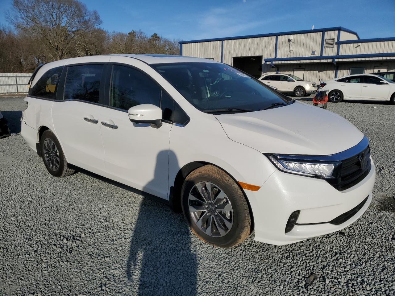 2024 HONDA ODYSSEY EXL VIN:5FNRL6H68RB007867