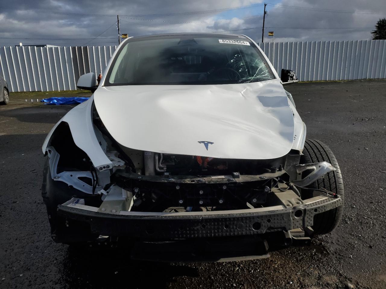 2022 TESLA MODEL Y  VIN:7SAYGDEE8NF556384