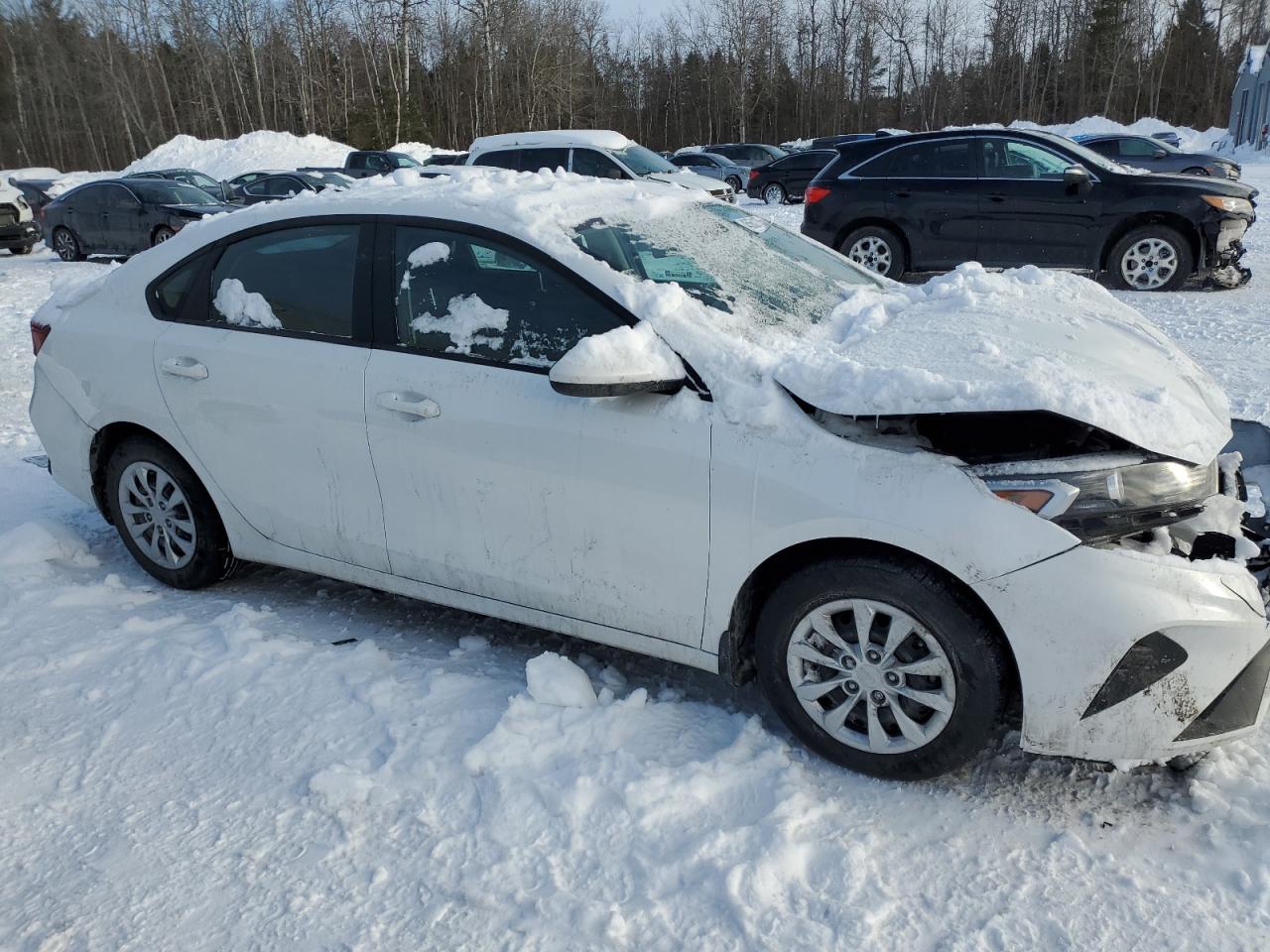 2023 KIA FORTE LX VIN:3KPF24AD2PE695967