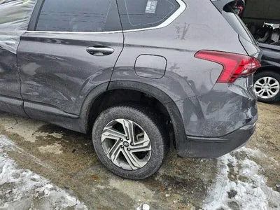 2021 Hyundai Santa FE KMHS281LGMU385254 VIN:KMHS281LGMU385254